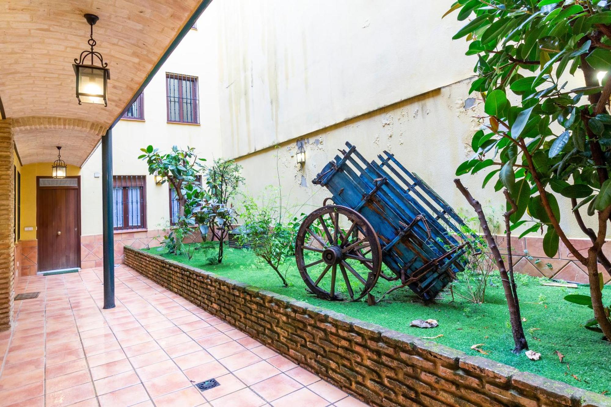 Alohamundi Pureza III, Seville